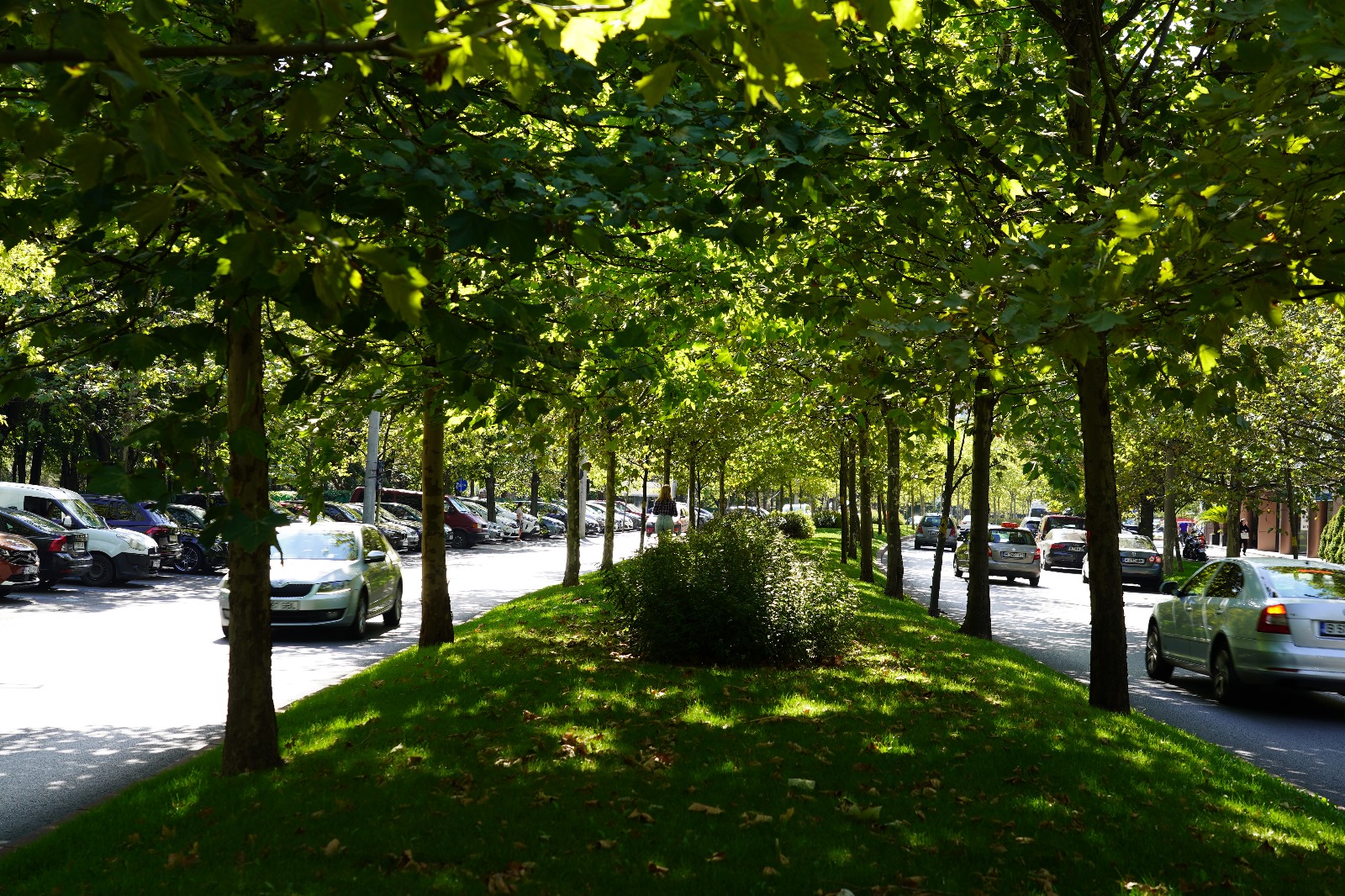 Natura, infrastructură de sănătate publică?