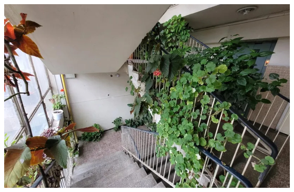 Amendă de 10.000 lei pentru românii care locuiesc la bloc. Ce reguli din Codul Civil trebuie să respecte