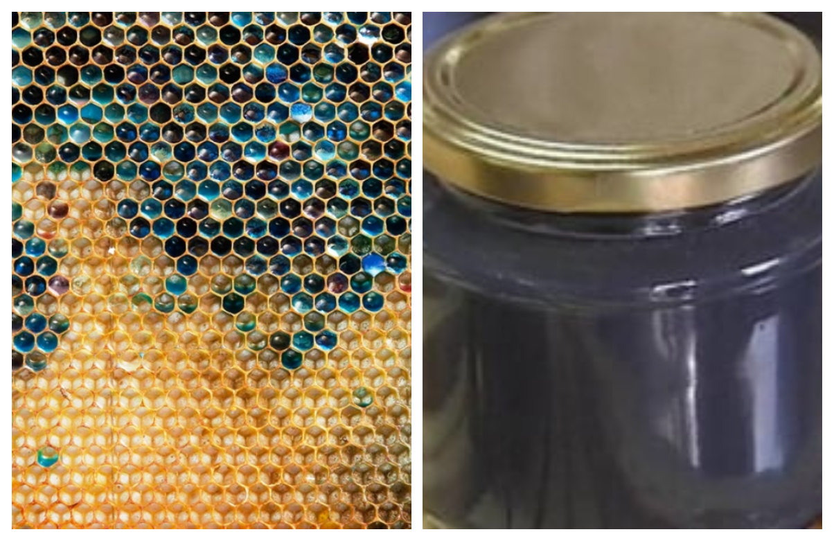 Ce este mierea albastră. Urmează să ajungă și în magazinele din România