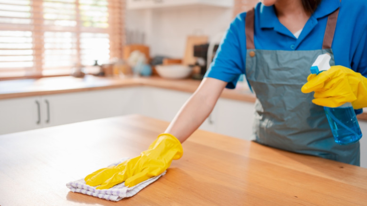 Tichete casnice 2025. Cum poți să plătești curățenia, grădinăritul sau plimbatul câinelui în mod legal. Îți vei putea plăti chiar și partenerul de viață