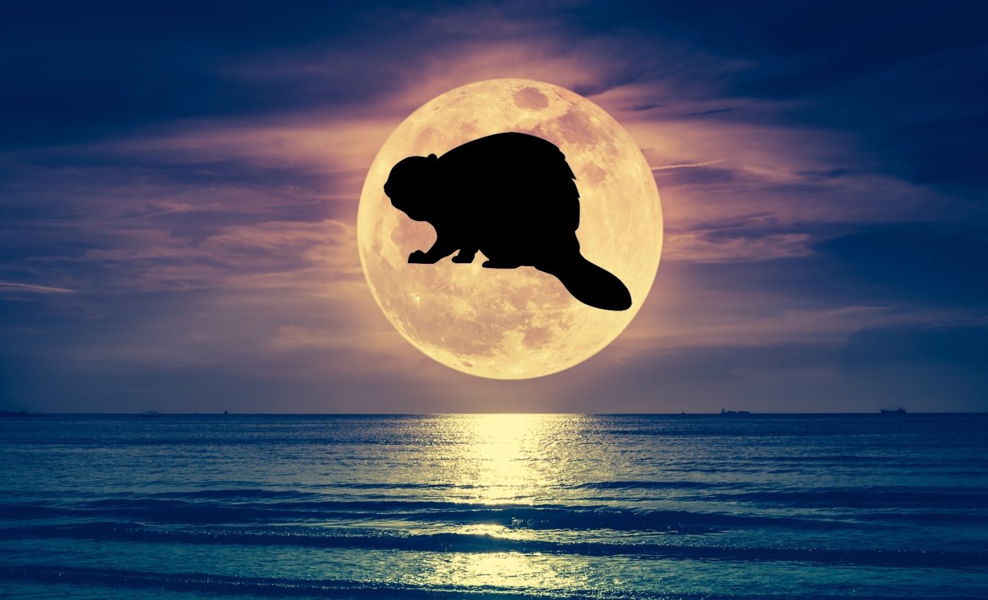 Horoscop 5 noiembrie 2025, Luna plină în Taur. Ce ne aduce cea mai STRĂLUCITOARE Lună plină a anului