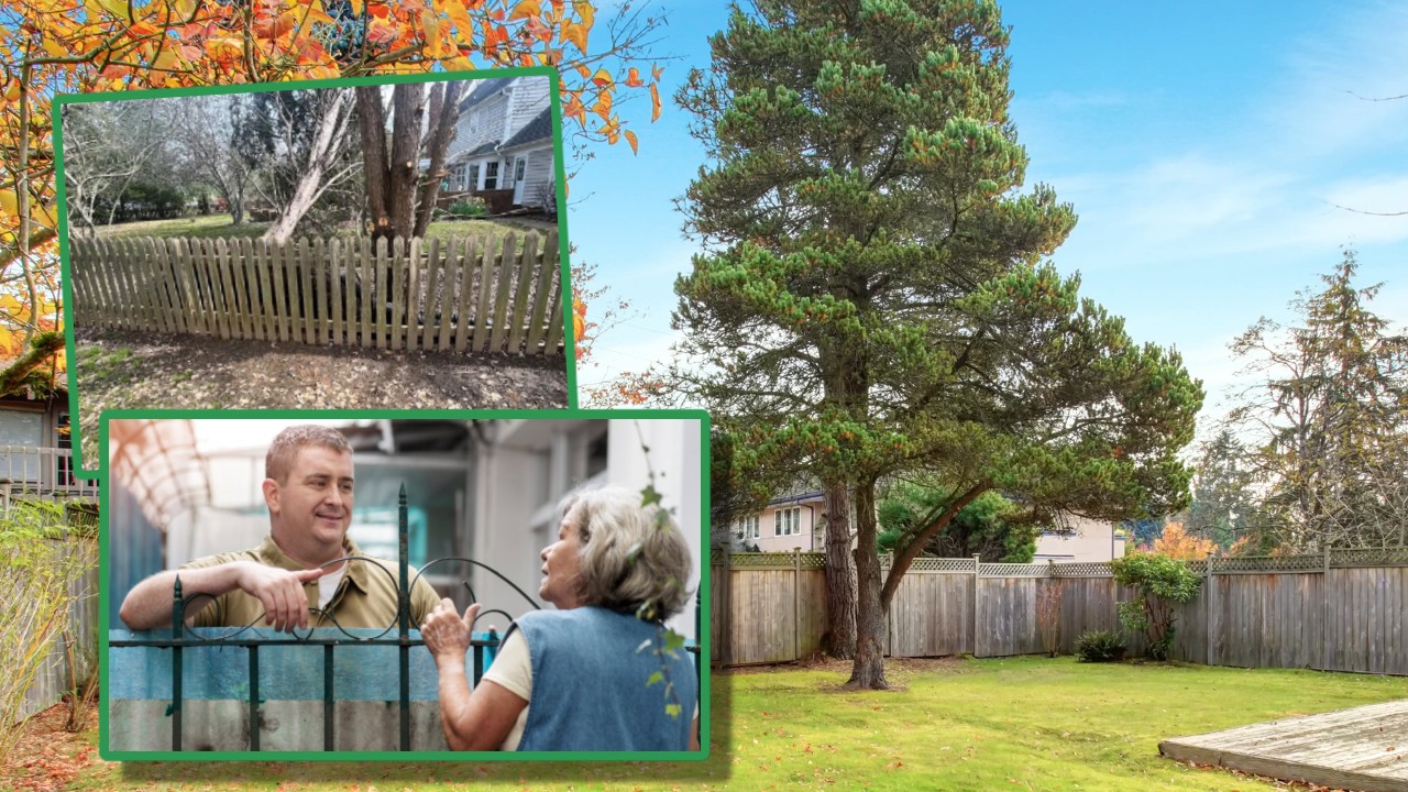 Copacul vecinului îţi poate zgâria maşina, iar folosirea drujbei aduce amenzi drastice. Cum scapi legal de ramurile care îţi invadează curtea