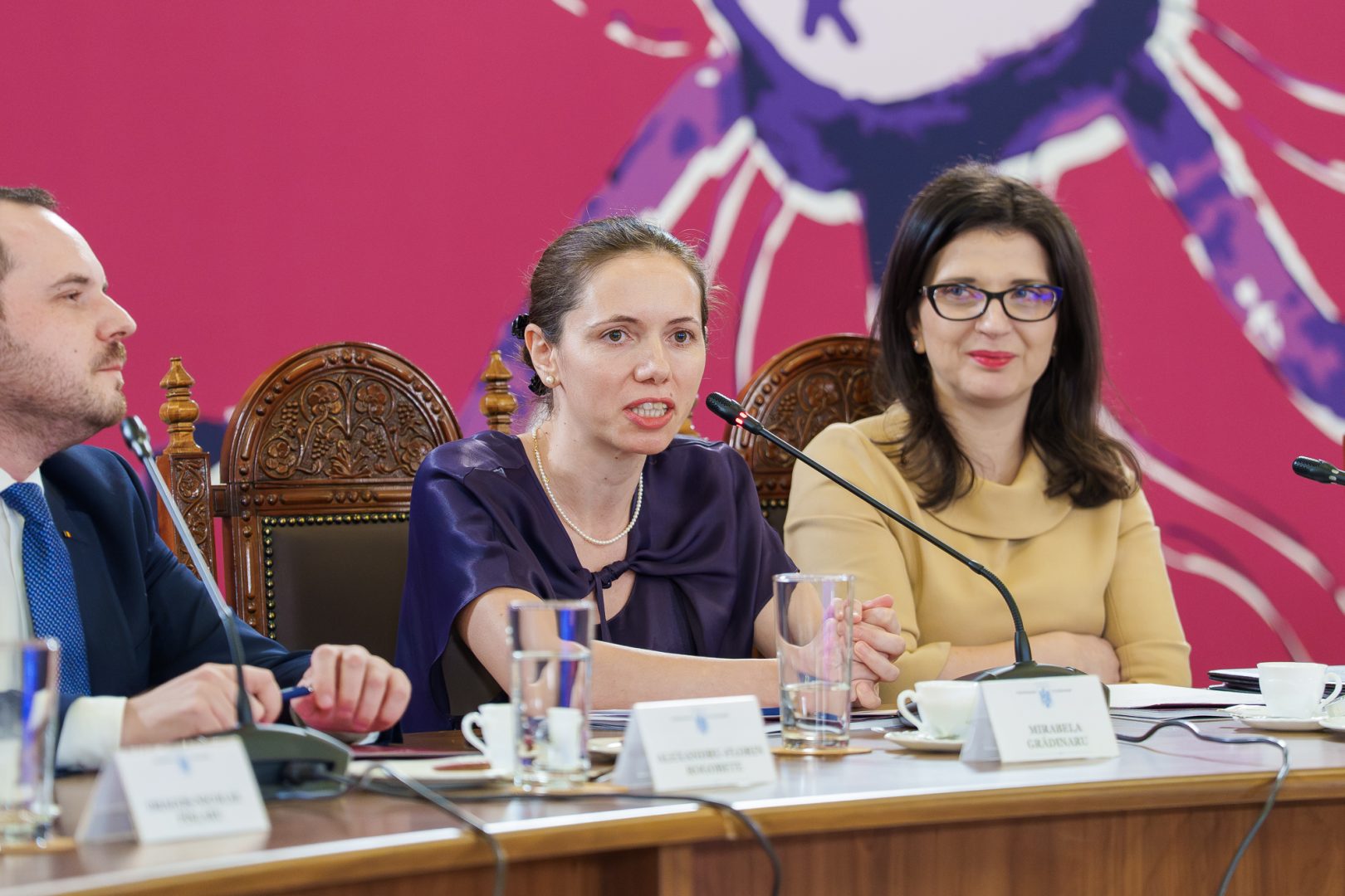 Mirabela Grădinaru, partenera lui Nicușor Dan: România are nevoie de centre interdisciplinare dedicate îngrijirii nou-născuților