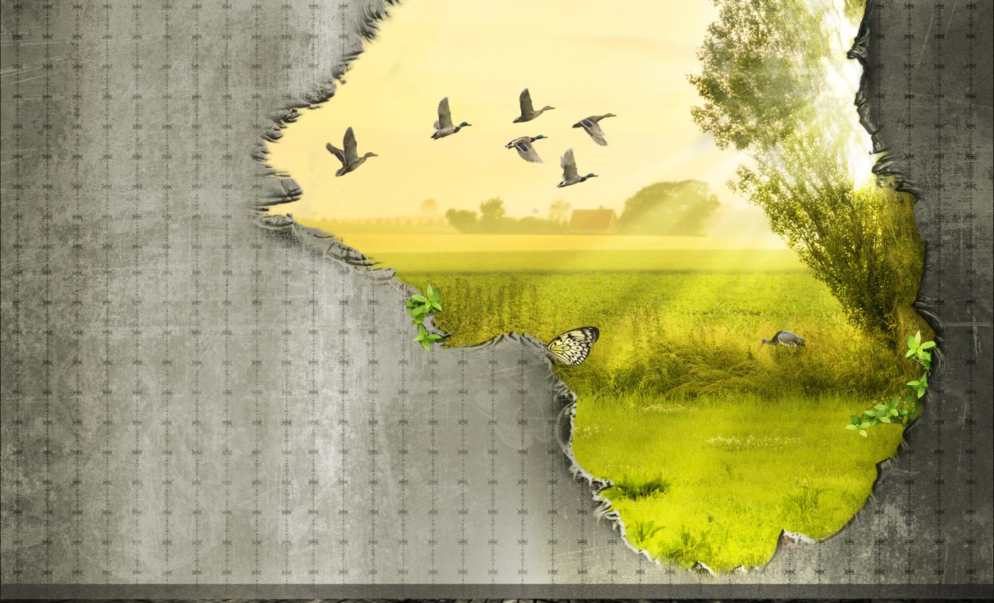 Horoscop NOIEMBRIE 2025: 4 ZODII care depășesc o mare DEZAMĂGIRE în ultima lună de toamnă