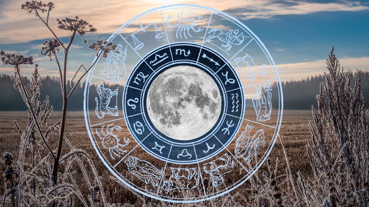 Cele trei zodii care au norocul scris în frunte în noiembrie 2025. Banii curg cascadă, iar până la final de an strâng o mică avere