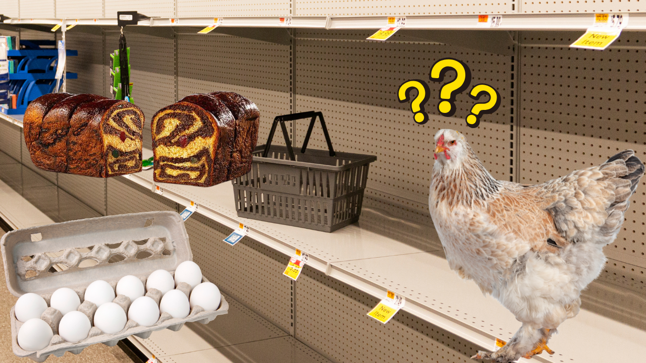 „Apocalipsa ouălor” are ca efect scumpirea cozonacilor. Se anunță vremuri grele chiar înainte de sărbători