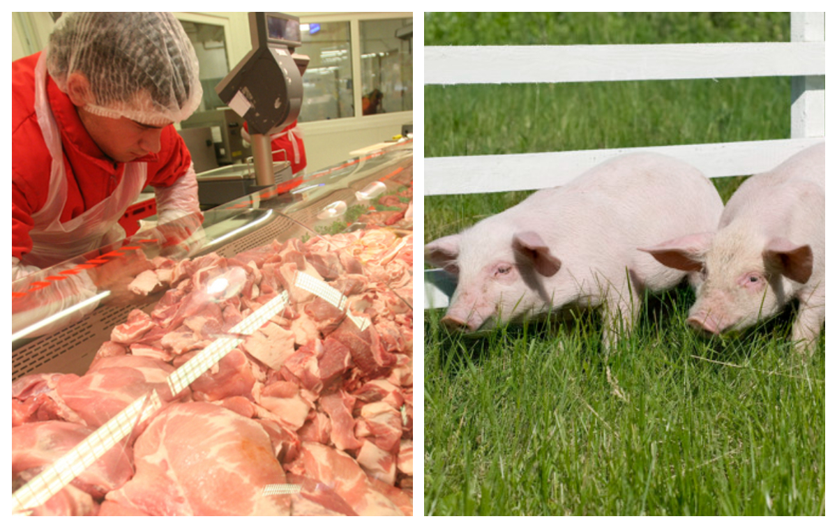 Cât costă porcul de Crăciun la Mega Image, Penny sau LIDL și cât costă direct de la țărani. De unde e mai avantajos să cumperi