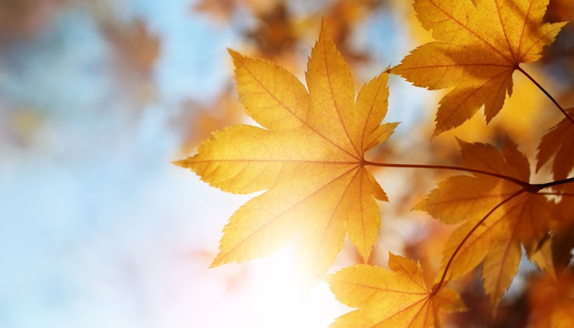 Prognoza meteo: vremea se încălzeşte în cea mai mare parte a ţării. Ce temperaturi vor fi în Capitală