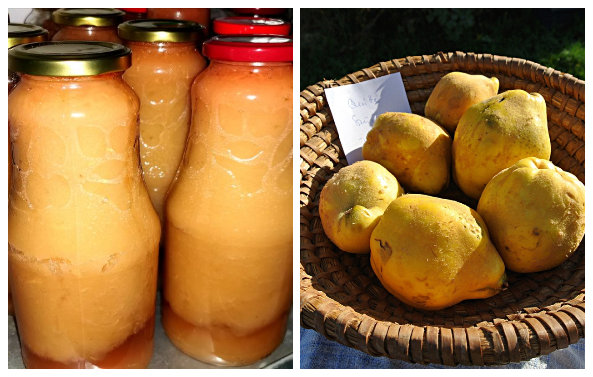 Cum să faci suc de gutui. Băutura vedetă a toamnei face minuni pentru sănătate