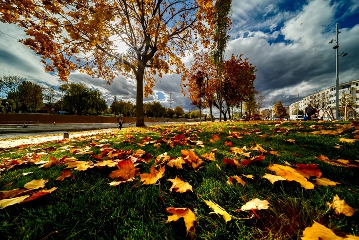 Prognoza meteo 15 noiembrie. Vreme caldă cu temperaturi de primăvară în noiembrie