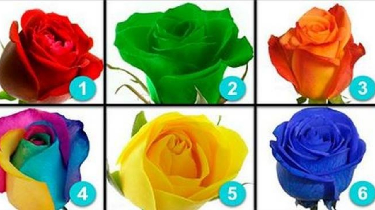 Test de personalitate! Trandafirul pe care îl alegi destăinuie lucruri neștiute despre tine