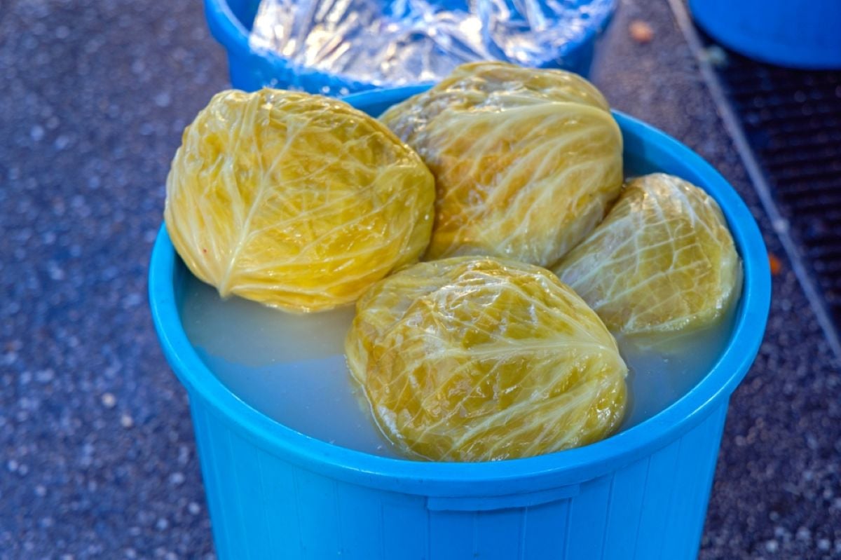 La ce temperatură se ține varza murată, ca să nu facă „floare”. Gospodinele au dezvăluit secretul