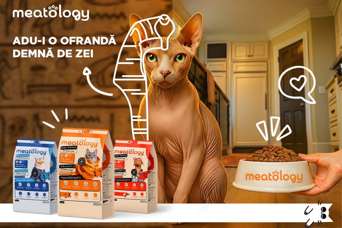 Meatology: brandul românesc super premium cu un model de business bazat pe expertiză medicală și formulare responsabilă