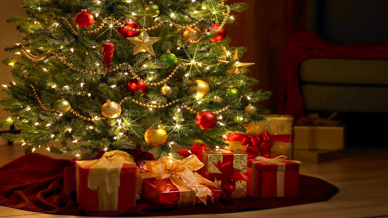 Bradul de Crăciun nu e doar decor, ci o promisiune pentru anul care vine. Ce spui despre norocul tău fără să știi, atunci când îl împodobești