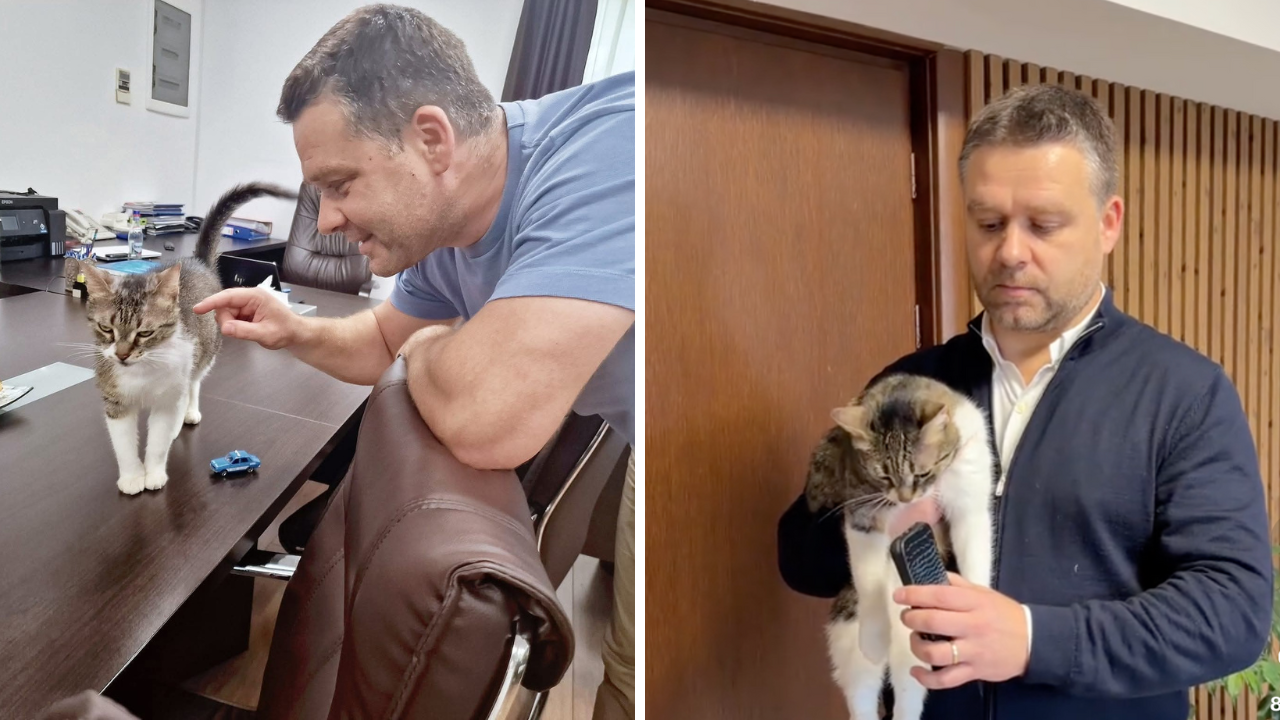 Jessy rămâne „regina” Primăriei Sectorului 6: Ciprian Ciucu dezvăluie soarta pisicii devenită virală pe rețelele de socializare