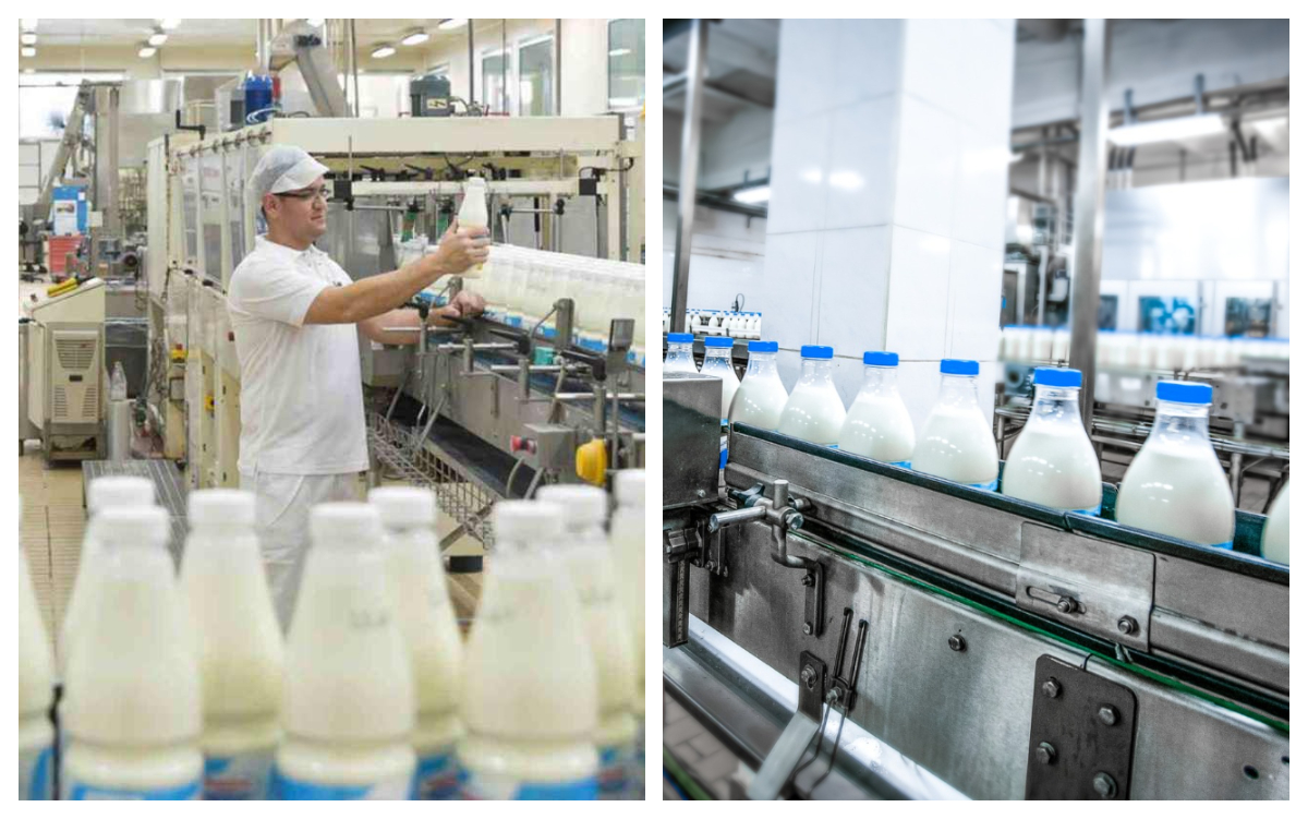 O cunoscută fabrică de lactate se închide după mai bine de 100 de ani. Care sunt motivele