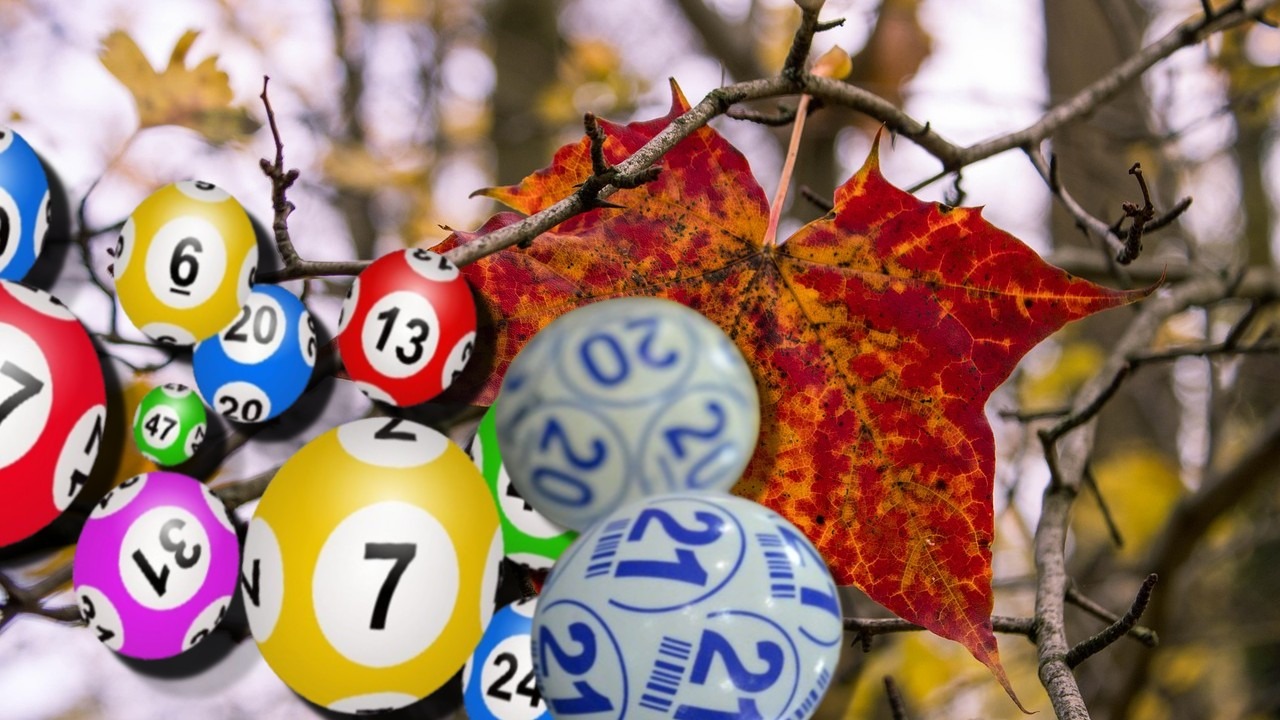 REZULTATE LOTO 4 decembrie 2025. Pot uriaş la Joker, numerele câştigătoare la Loto 6/49