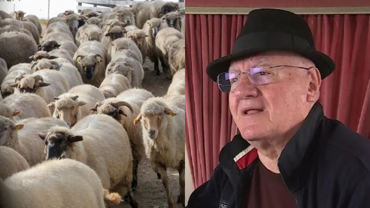 Dumitru Dragomir dezvăluie că patima jocurilor de noroc i-a adus și bucurii: „Am câștigat 80 de oi, un măgar și un câine la o partidă de poker”