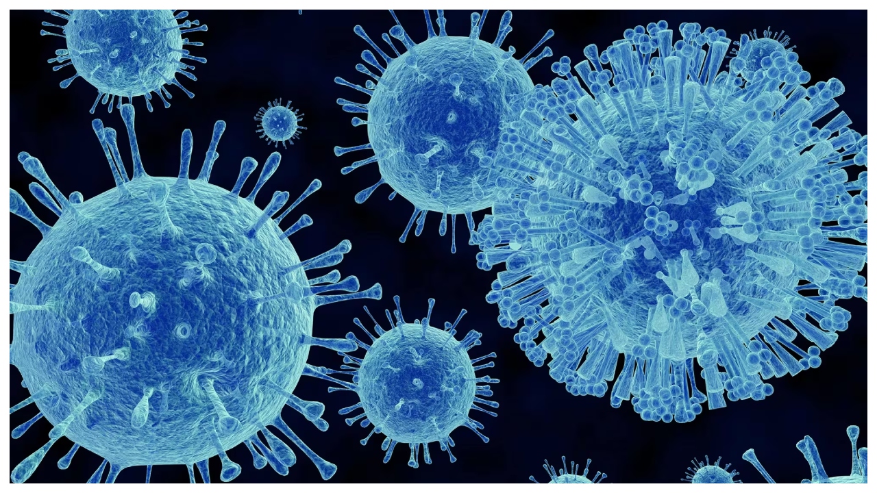 Un virus se răspândește rapid în SUA. Cum se transmite și cum se manifestă Norovirus