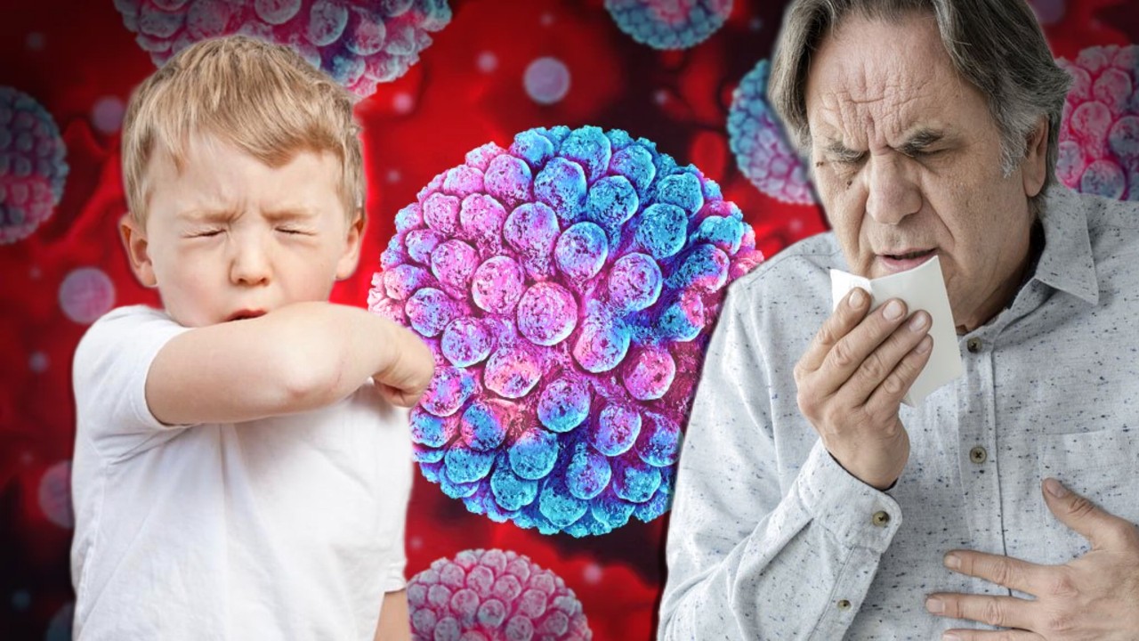 Norovirusul face prăpăd! Focarul de „supergripă” din Marea Britanie ar putea porni o nouă pandemie catastrofală: școlile au început să fie închise, numărul internărilor în spitalele din Londra s-a triplat, iar oamenii sunt sfătuiți să poarte măști