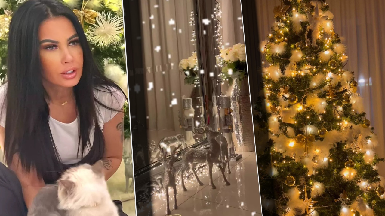 Oana Zăvoranu, pregătită de Crăciun! Cum și-a decorat Querida casa