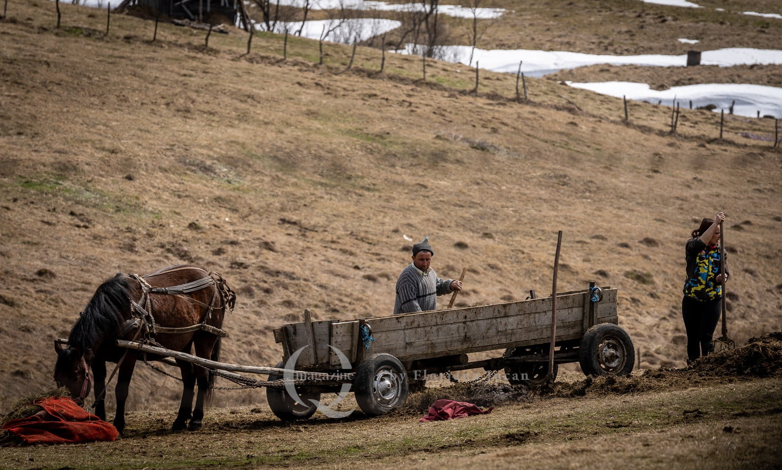 AUR propune exceptarea de la plata impozitului pentru anumiți români care trăiesc la sate