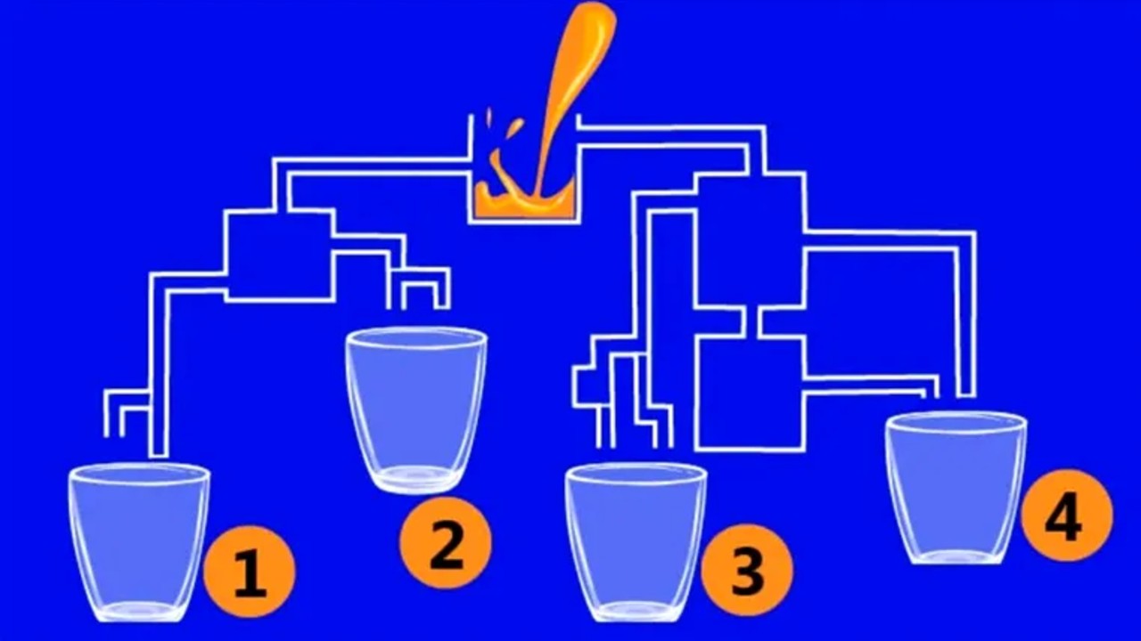 Test IQ pentru oamenii cu mintea ageră. Care dintre cele patru pahare se va umple primul?