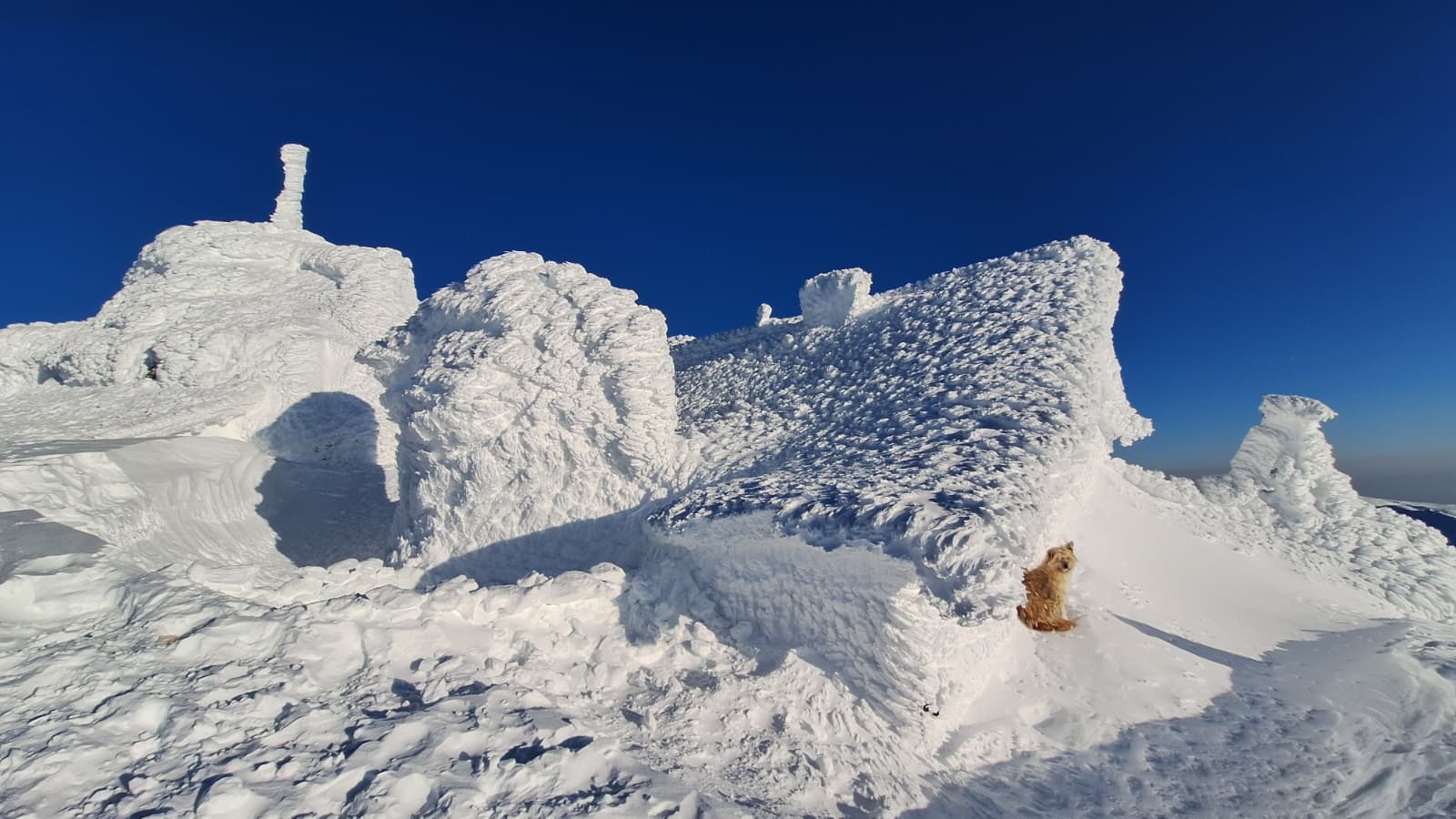 Prognoza meteo. Se întorc ninsorile în Moldova, strat nou de omăt şi la munte. Ger de crapă pietrele în depresiuni