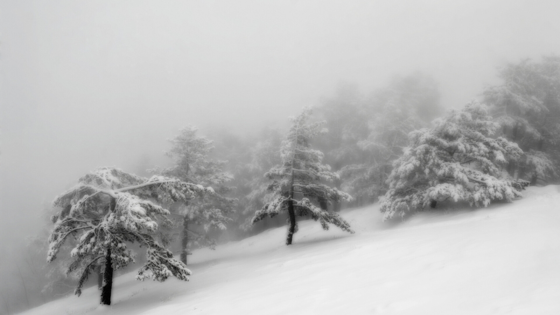 Minus 50 de grade, temperatura resimțită la munte, în Cluj. Vânt puternic și la Cota 2000 și mai multe instalații din Sinaia sunt oprite
