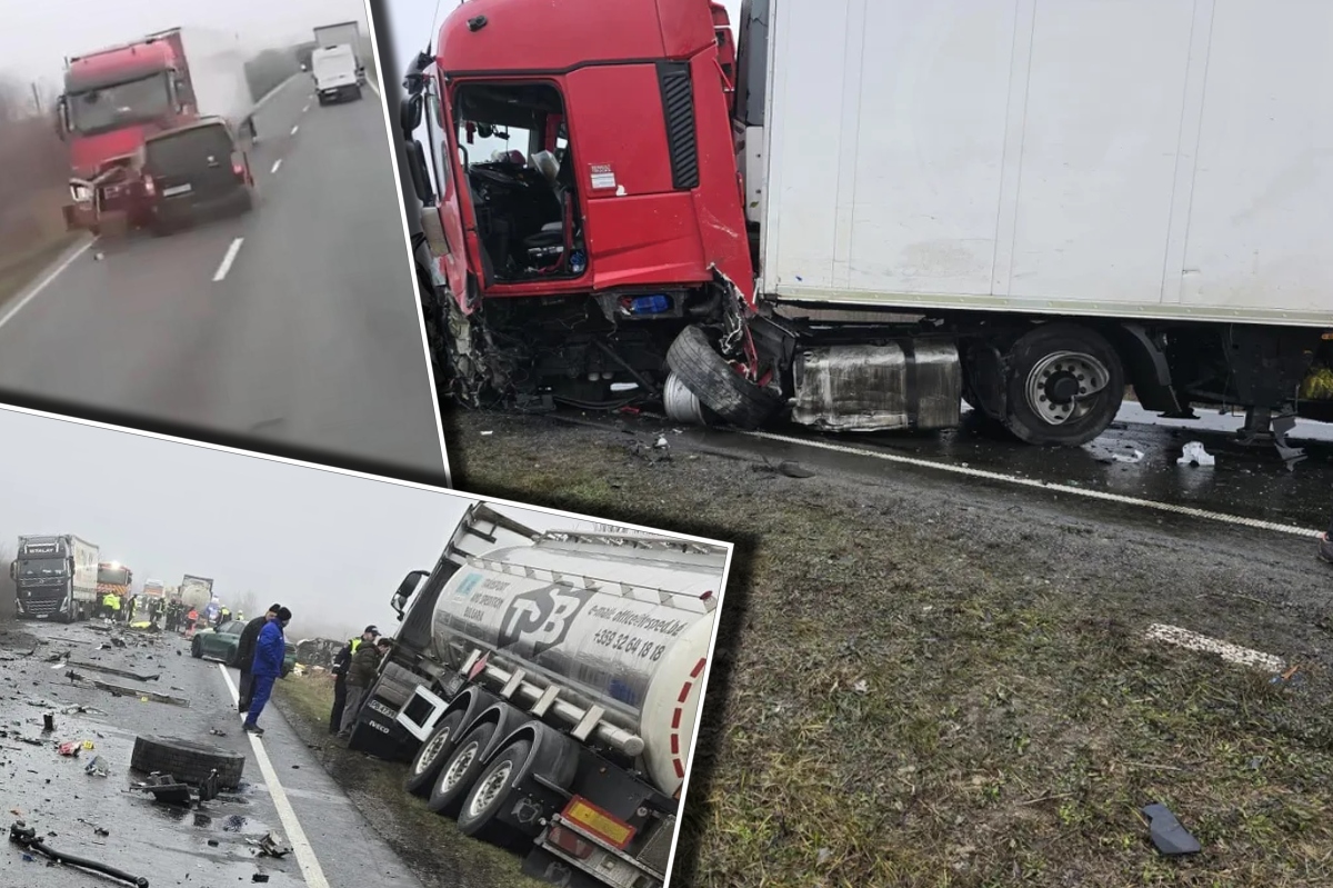 Răsturnare de situație în cazul accidentului soldat cu 7 morți, din Timiș. Șoferul microbuzului ar fi consumat droguri