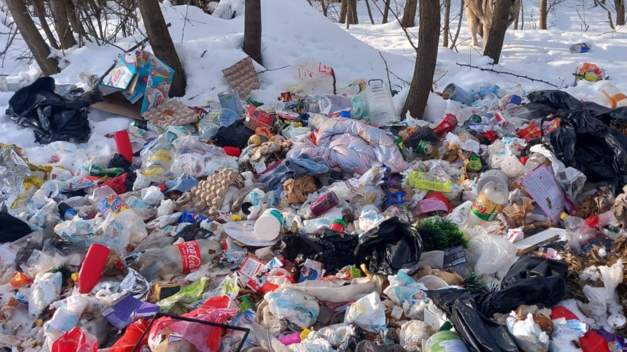 O femeie din Alba și-a aruncat buletinul cu tot cu gunoiul de care s-a debarasat ilegal. Primărița comunei a invitat-o să își ia înapoi documentul și mizeria și să plătească amenda