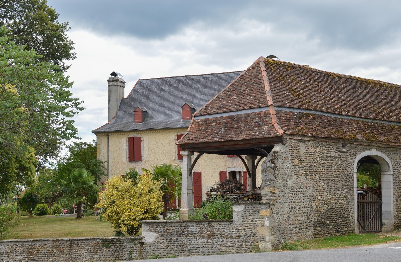 Regulile de care trebuie să țină cont românii care locuiesc în străinătate. Riscă amenzi uriașe dacă le încalcă