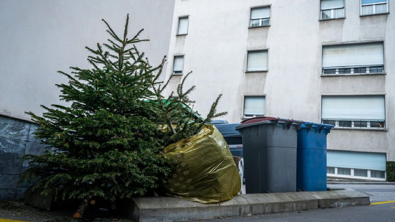 Ghinion uriaș pentru persoanele care nu au strâns încă bradul de Crăciun. Ce spun superstițiile despre această amânare