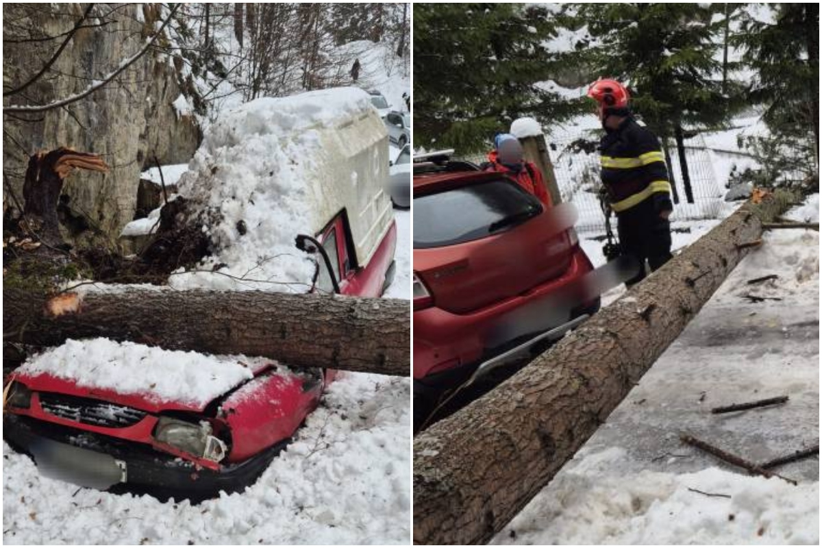 Brad prăbuşit peste o maşină parcată, în Argeş. Copacul a cedat sub greutatea zăpezii acumulate pe ramuri