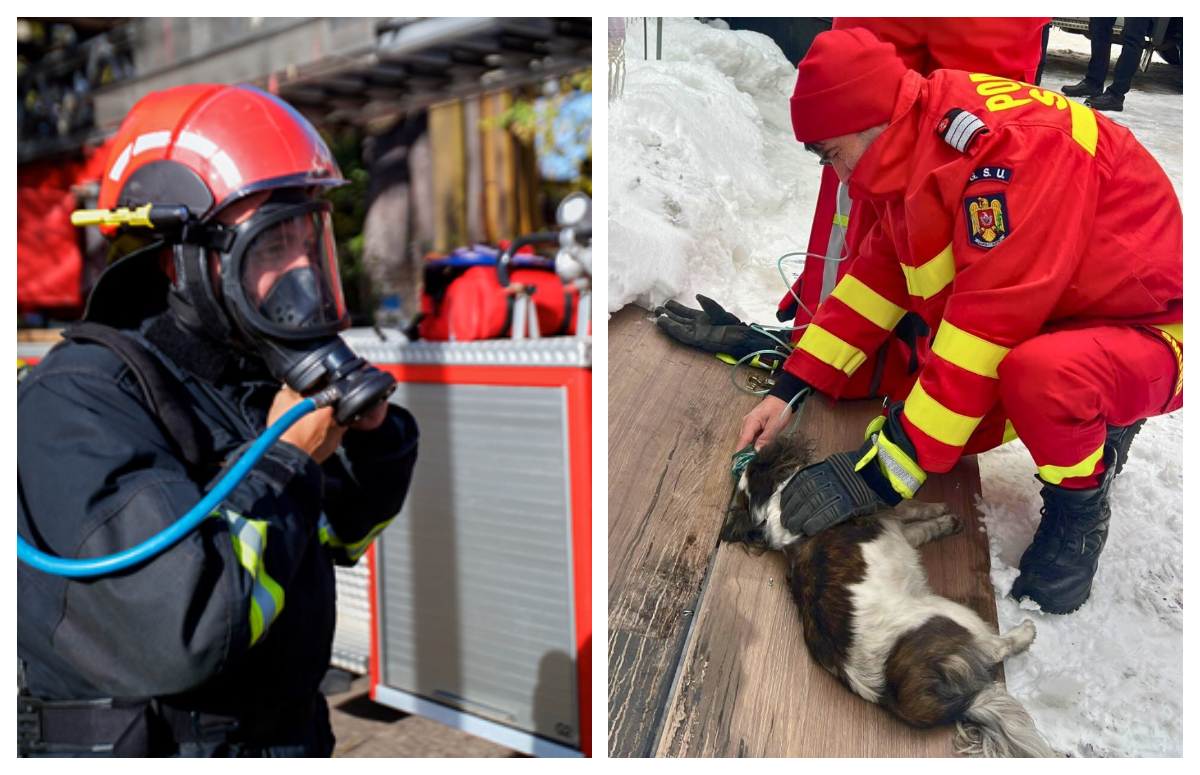 Cățel salvat în ultima clipă de pompieri dintr-o bucătărie în flăcări. Un paramedic SMURD i-a acordat primul ajutor