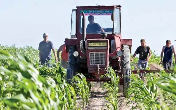 Statele UE au aprobat vineri acordul comercial cu blocul Mercosur. România a votat în favoare deși ministrul Agriculturii s-a opus