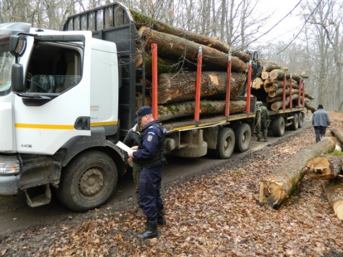 Ministrul Mediului anunţă actualizarea aplicaţiei SUMAL, care împiedică furtul de lemne