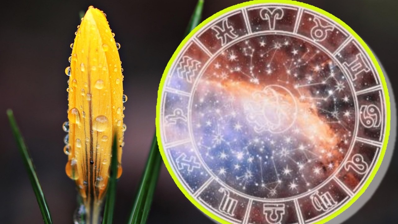 Horoscop 2 februarie 2026. Ziua de luni aduce multă energie pozitivă. Ce zodii sunt favorizate de astre