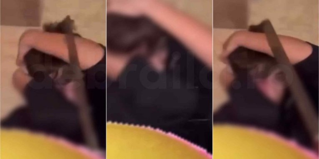 VIDEO Un minor de 16 ani din Brăila, aflat sub control judiciar după o bătaie în stradă, recidivează cu maceta. A agresat un elev în toaleta liceului. Motivul – o cerere de prietenie trimisă iubitei sale!