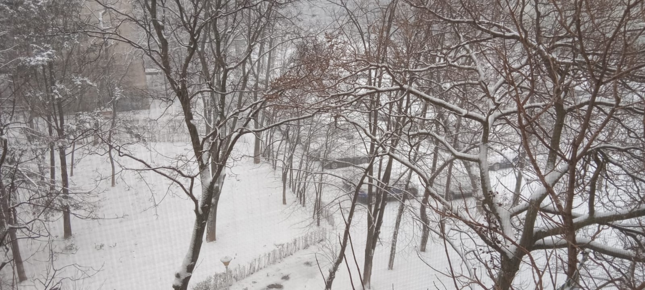 VIDEO Ninge ca-n povești peste sud-estul României. Capitala s-a îmbrăcat deja în alb