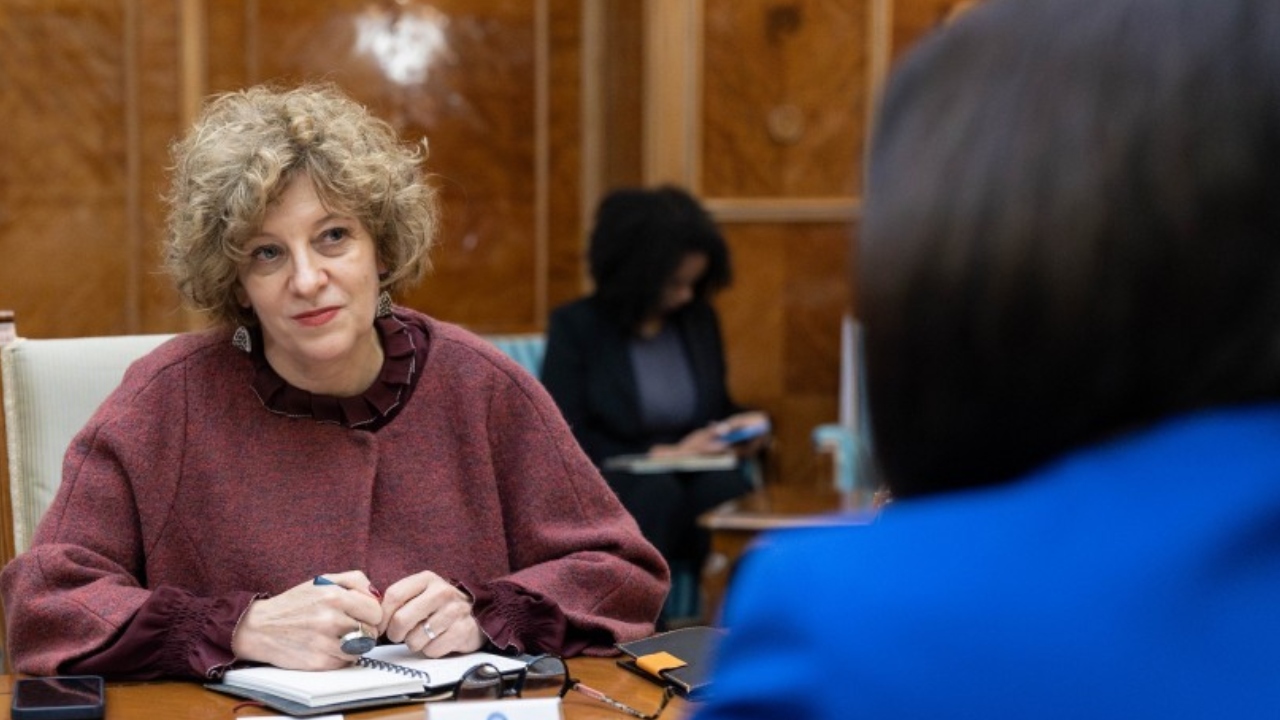 Guvernul, în căutarea profesioniștilor pentru companiile de stat. Declarațiile făcute de Oana Gheorghiu