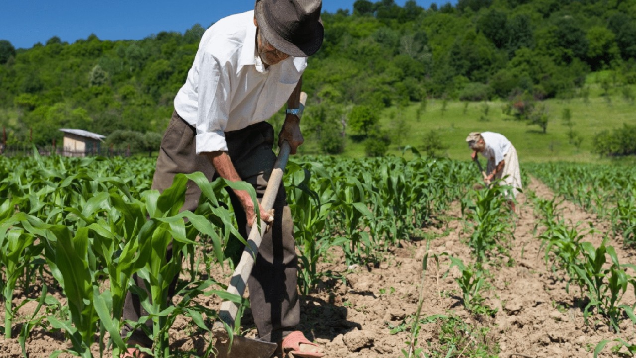 Pensii majorate pentru o categorie importantă de români. Anunțul făcut de liderul PSD: „Am înlăturat practic discriminarea”