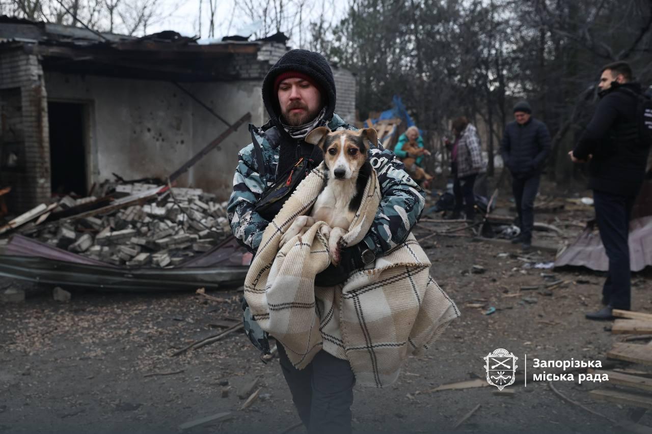 Război în Ucraina. Rusia atacă dezlănţuit, bombele au lovit şi un adăpost pentru câini VIDEO