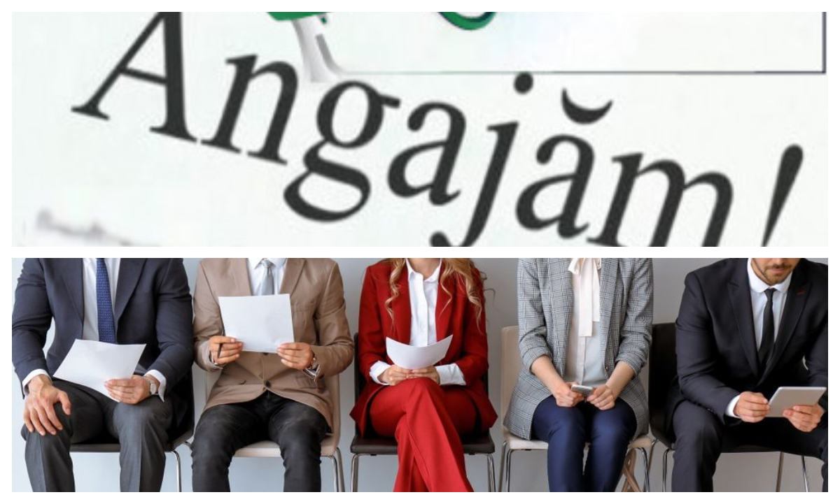 Angajări 2026. Se caută români care să lucreze în străinătate. Sunt sute de locuri disponibile, se caută şoferi, menajere, mecanici şi electricieni