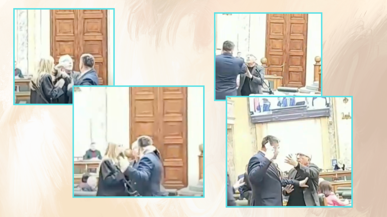 Bătaie în Senatul României! Un deputat sare la gâtul unui parlamentar PACE pentru a-i smulge telefonul: „Nu sunt plătiți să facă circ, ci să muncească”