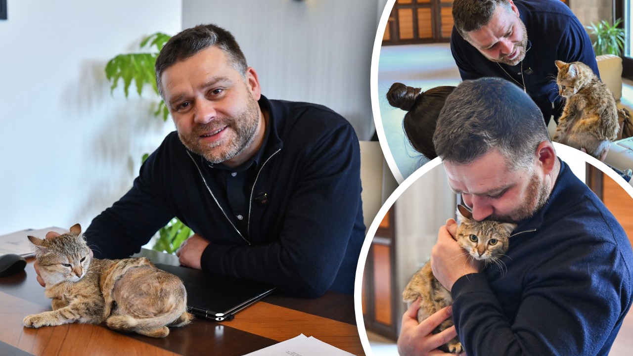 Ciprian Ciucu a adoptat o mâță în biroul său de la Primăria Capitalei! Ca să poată să o „tragă de coadă” și la propriu și la figurat! Pisica e simpatică, like-urile curg, realizările lipsesc!