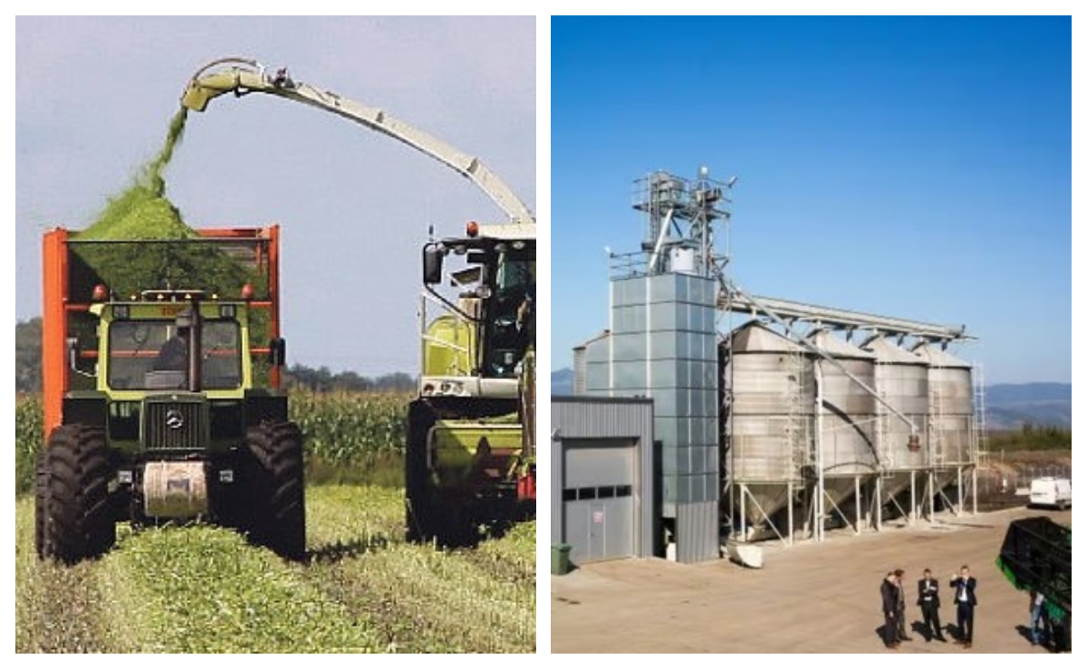 O mare companie olandeză se retrage din România. Fabrica și sute de hectare de pământ au fost scoase la vânzare