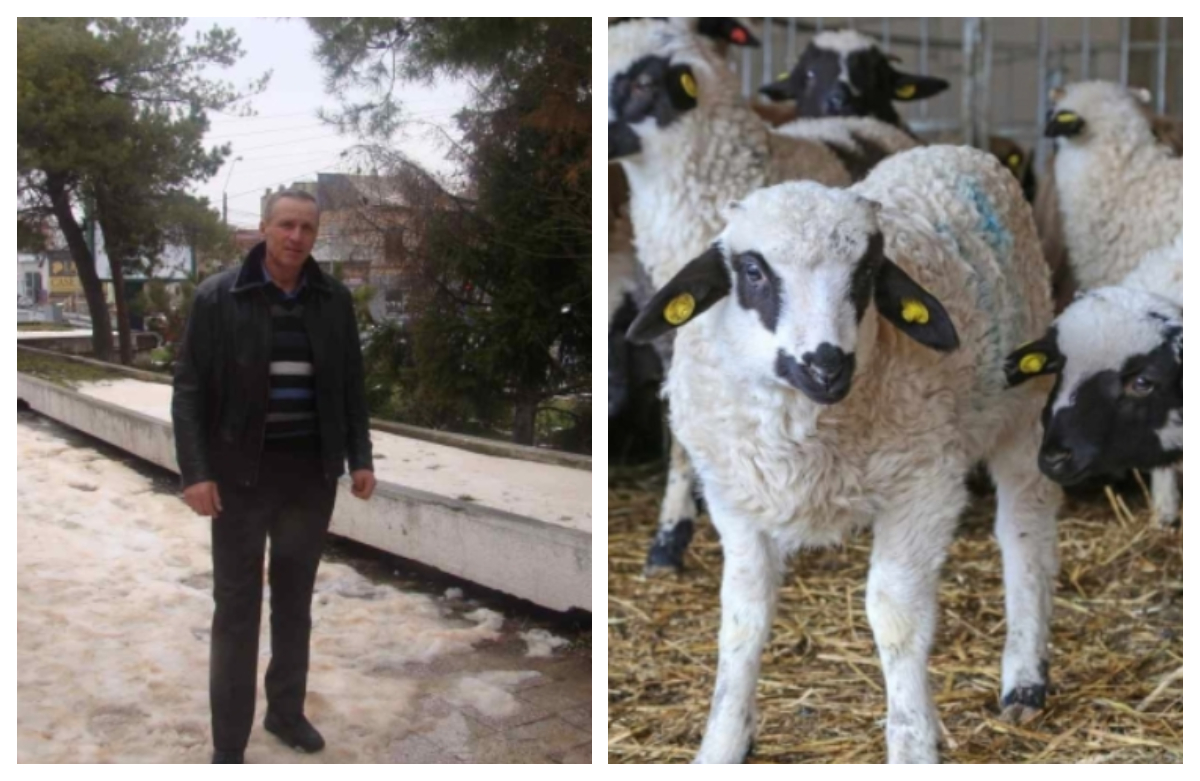 Fermier distrus de secetă și datorii: ”Am pregătiți 600 de miei de Paște și niciun ban să cumpăr furaje pentru animale!”