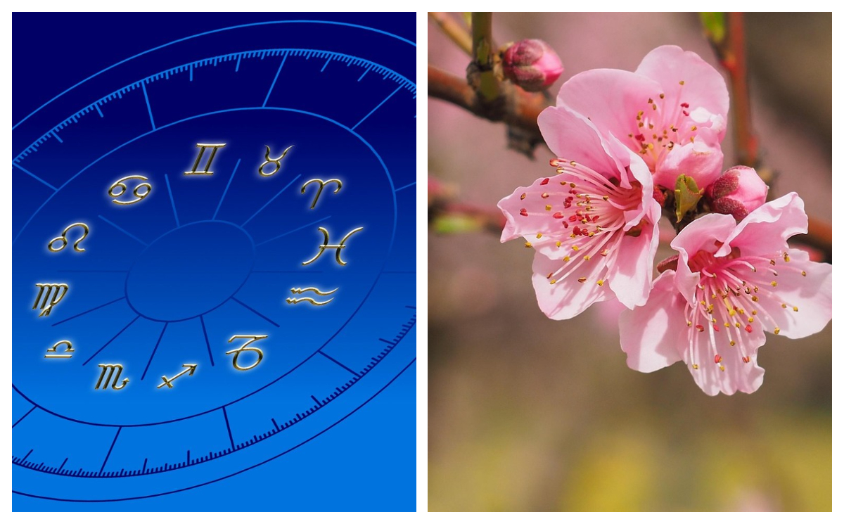 Șase zodii care au succes în carieră și noroc în dragoste. Cine sunt nativii care încep o viață nouă în această primăvară