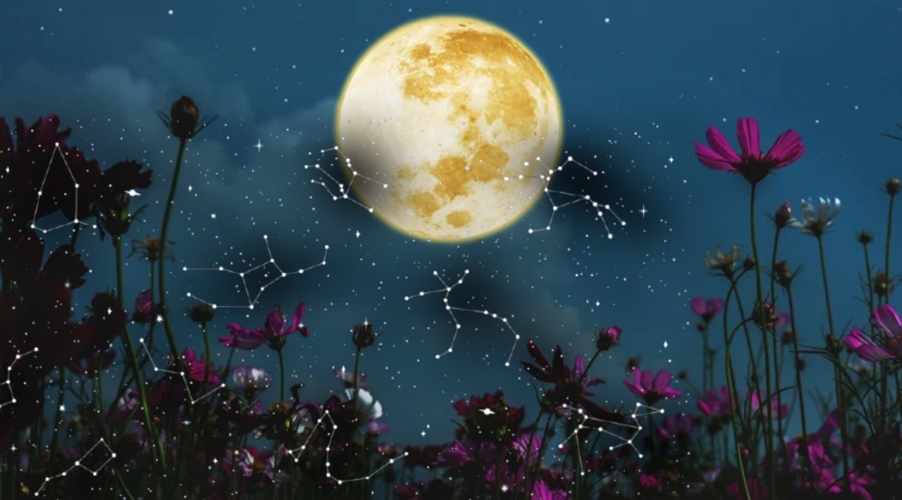 Martie începe cu evenimente astrologice majore: eclipsă de Lună în Fecioară, Mercur retrograd și decizii care nu mai suportă amânare